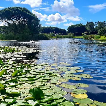 アパート And Blue View アルブフェイラ