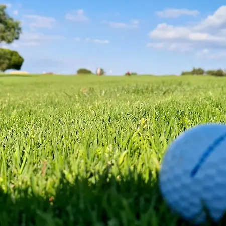 And Blue View Apartment *